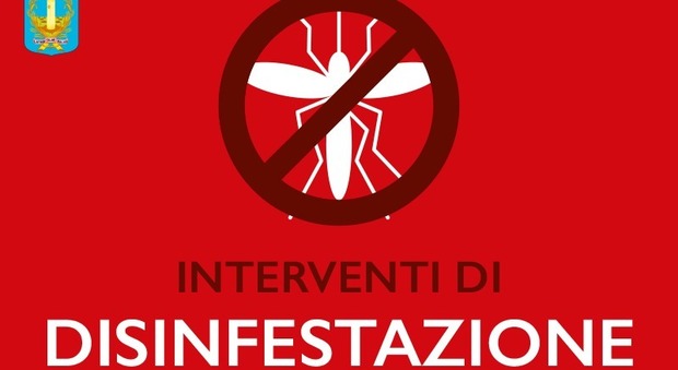 Latina, disinfestazone contro le zanzare: il calendario degli interventi in città