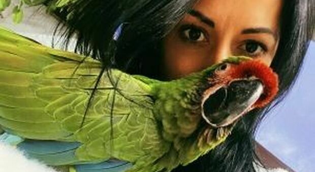 Chiara Alessandrini e uno dei suoi pappagalli