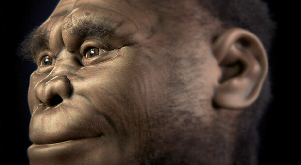 nell foto ricostruzione dell'Homo floresiensis tratta da Wikimedia Commons,