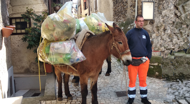 Ad Artena i rifiuti portati via a dorso di mulo: arriva la tv svizzera per filmarli