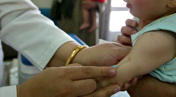 Vaccino ai bambini da 0 a 5 anni, Palù (Aifa): «Verosimile arriverà nei primi 6 mesi del 2022»