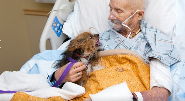 Ex soldato in fin di vita incontra il suo cane in ospedale per dirgli addio: era l'ultimo desiderio