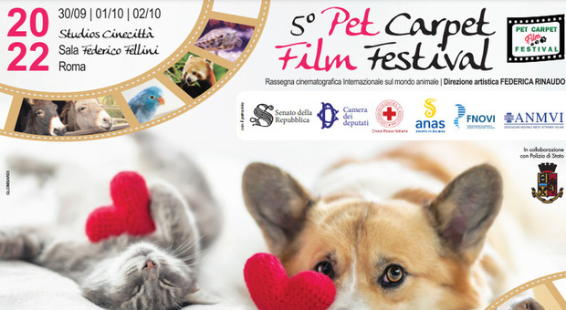 Cinecittà, torna il Pet Carpet Festival: la rassegna cinematografica internazionale dedicata agli animali