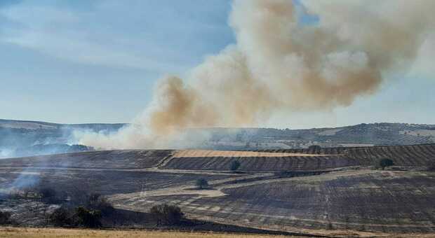Massima allerta a Tarquinia, gli incendi stanno devastando ettari di bosco