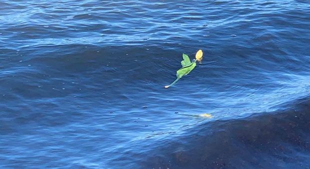 Luca Coscioni, 14 anni fa la morte, oggi un fiore in mare