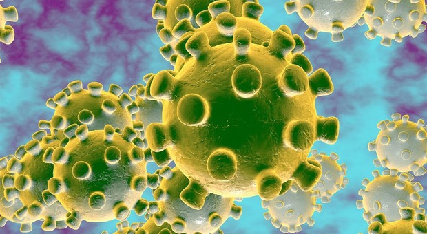 Coronavirus, studio rivela: «Il virus può restare nella saliva e nelle feci dei pazienti guariti»