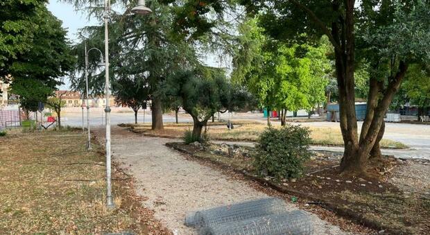 Lavori alla stazione di Frosinone, Legambiente: «Gli alberi dei giardinetti non vanno tagliati»