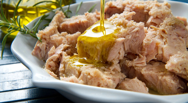 Alimentazione, il sondaggio: la pasta con tonno è must della tavola italiana