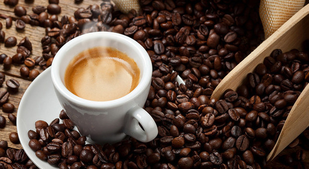 Caffè, la caffeina è un "agente anti-obesità": riduce l'aumento di peso