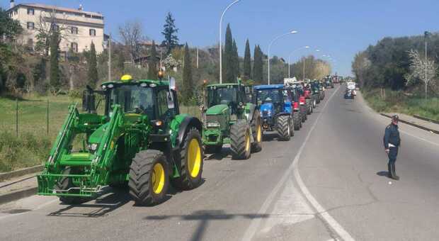 Circa 60 mezzi agricoli sfilano sulla tangenziale ovest di Viterbo