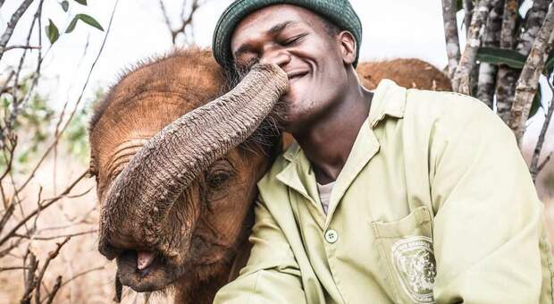 Joseph con uno degli elefantini orfani (immag diffusa sui social da Scheldrick Wildlife Trust)