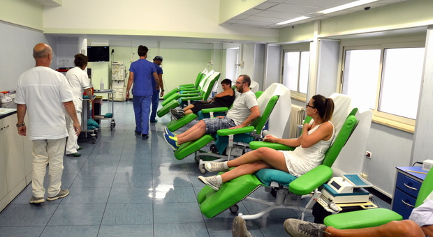 Emergenza sangue all'ospedale Santa Maria, ogni sacca costa trecento euro