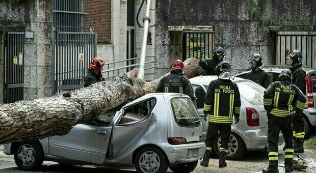 Roma, alberi caduti: chiesta condanna a 2 anni per l'ex capo di gabinetto della Raggi