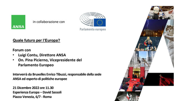 Quale futuro per l'Europa, Forum ANSA-Eurocamera con Picierno