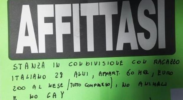Roma, «Niente affitto a gay e animali a San Lorenzo», ma l'annuncio non è verificabile