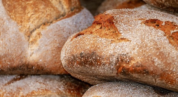 Scrittori e scienziati firmano il “Manifesto del pane” per l'impasto perfetto