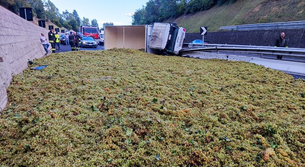 Camion si ribalta, il carico di uva invade l'autostrada
