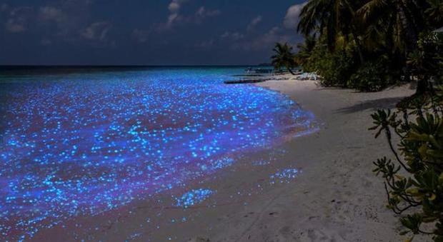Maldive Lo Spettacolo Del Mare Che Si Illumina Di Notte Ecco Perche