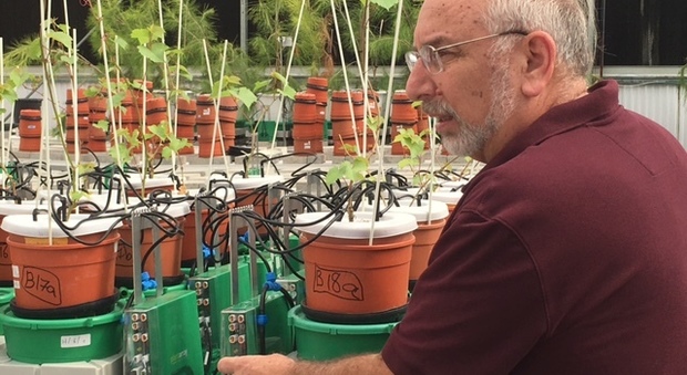 Il professor Rony Wallach con il suo sistema computerizzato di irrigazione