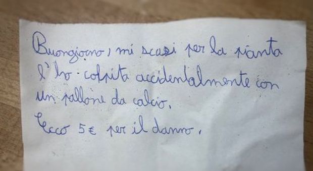 Bambino di 11 anni rompe una pianta del vicino con una pallonata: lascia un biglietto esemplare e 5 euro