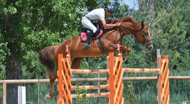 Narni, il concorso di equitazione «Franco Quondam» diventa un evento internazionale
