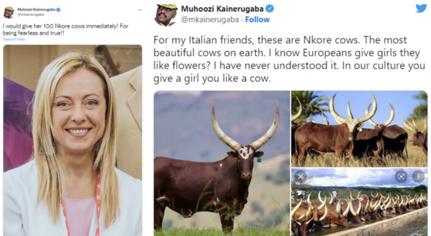 «Cento mucche in cambio dell'amore di Giorgia Meloni»: l'assurda offerta del figlio del presidente dell'Uganda