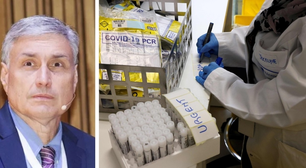 Covid, il virologo Silvestri: «Niente panico e niente lockdown, sta arrivando la cavalleria degli anticorpi»
