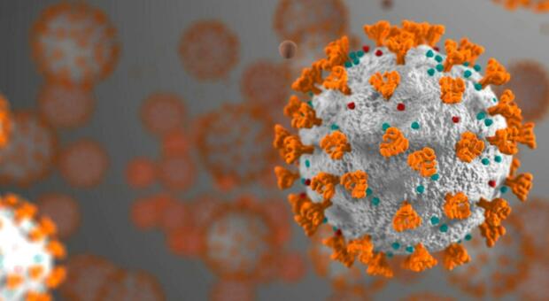 Covid, come convivere con una malattia endemica: il ruolo di anticorpi e vaccini