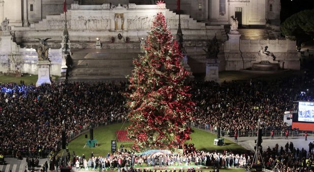 Roma, parte la "caccia" al nuovo albero di Natale: ecco l'avviso online