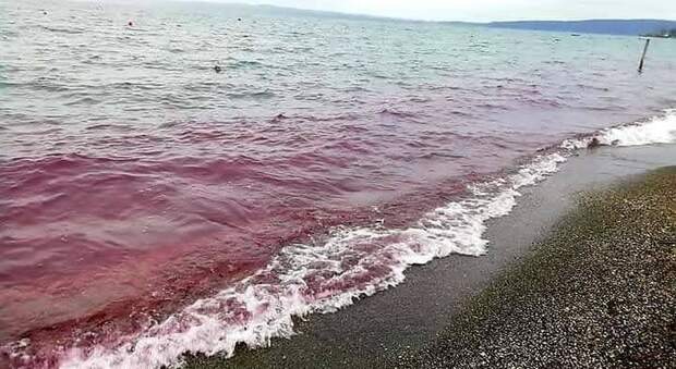 Bracciano, il mistero del lago: l acqua si tinge di rosso