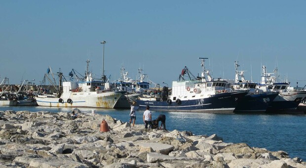 Bloccata la vendita del pesce alla Cimar: arrivano i carabinieri
