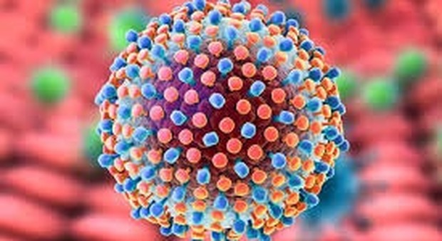 Epatite C, a caccia di 200 mila casi sommersi, uno spot in tv: nel 2019 termina il fondo farmaci innovativi