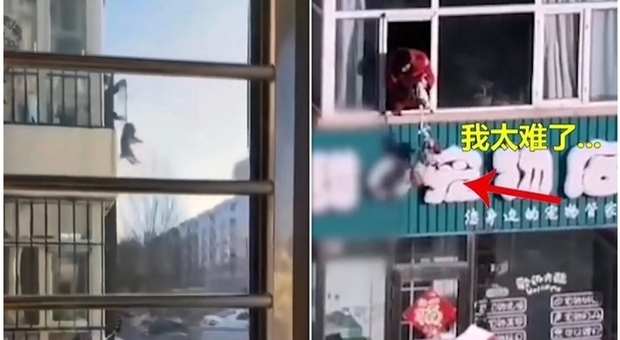 Coronavirus, il cane deve fare pipì: il padrone in quarantena lo cala dalla finestra del quarto piano (immagini diffuse da Weibo)