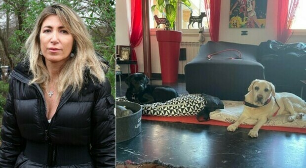 Roma, furto in casa della deputata Patrizia Prestipino: i ladri hanno addormentato i cani