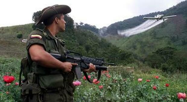 Colombia: gli ex guerriglieri delle Farc si trasformano in guide turistiche nella giungla
