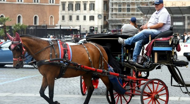 Roma, via le botticelle dalle strade, saranno solo nei parchi: ecco il nuovo regolamento