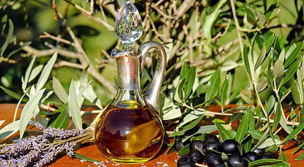 Torna a Roma Evoluzione: educare all'uso dell'olio extravergine d'oliva di qualità