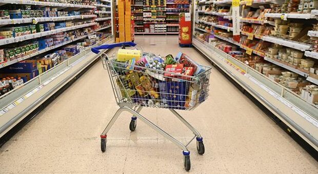 Consumi, la leggera crescita non rassicura imprese e consumatori: preoccupano inflazione e effetto guerra