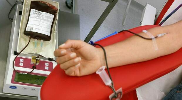 Carenza sangue, nuovo appello della Asl: «Donare è un atto tanto semplice quanto importante per salvare vite»