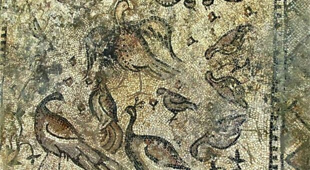 Scava per piantare alberi di arance e trova mosaico di 1500 anni fa: la scoperta in Turchia
