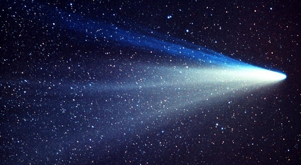 Spazio, per Natale arriva la cometa Leonard: sarà visibile a occhio nudo