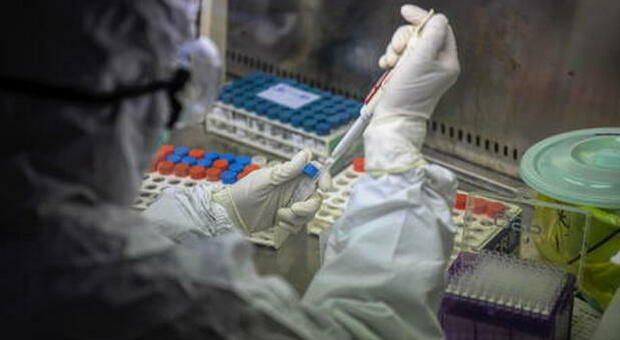 Covid, si punta su un antibiotico per i polmoni: test contro l’infezione al Pasteur di Lille