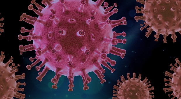 Omicron 2 tra i virus più contagiosi al mondo (dopo il morbillo), ma la mortalità è lontana dalla Peste nera
