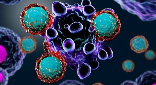 Tumore prostata, farmaci «miracolosi» per curarlo: lo studio inglese sull'immunoterapia