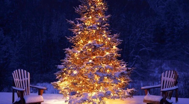 Albero Di Natale Addobbato Bianco E Nero.Blu Fucsia E Viola Tutti I Colori Per L Albero