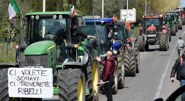 Un momento della manifestazione degli agricoltori a Viterbo