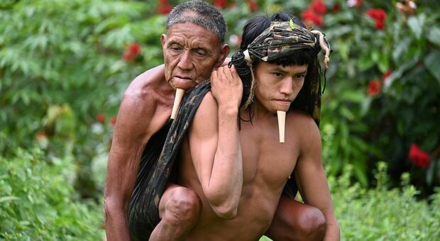 In viaggio per l'Amazzonia con il padre in spalla: Tawy Zoé cammina 12 ore per portarlo a fare il vaccino