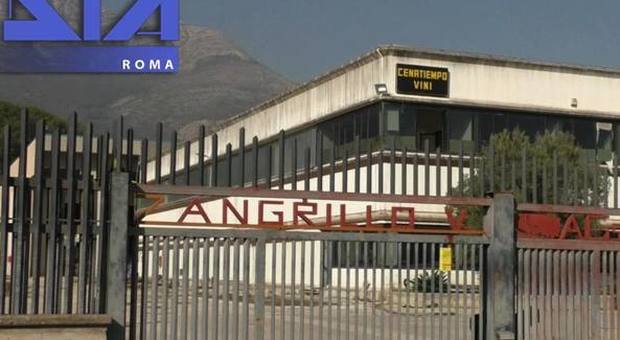 Confermata la confisca dei beni all’imprenditore Vincenzo Zangrillo: impero da 22 milioni di euro