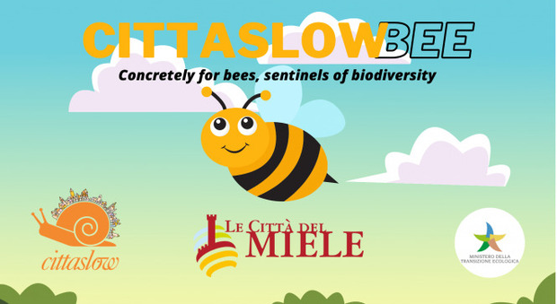 Presentato a Orvieto "CittaslowBee" il Manifesto di Cittaslow International a sostegno delle api e a tutela della biodiversità