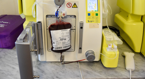 Sangue infetto, risarciti con 2,7 milioni di euro i familiari di due donne di Latina